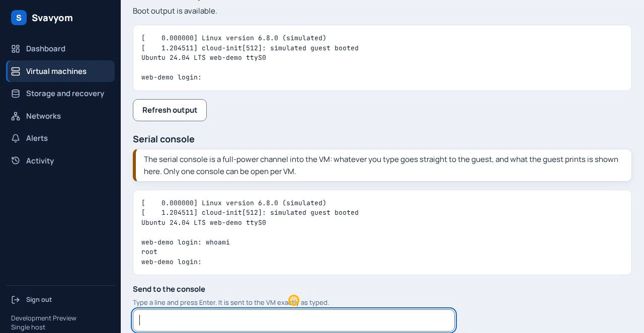 Screenshot of the serial console showing boot output and a prompt for typing into the guest